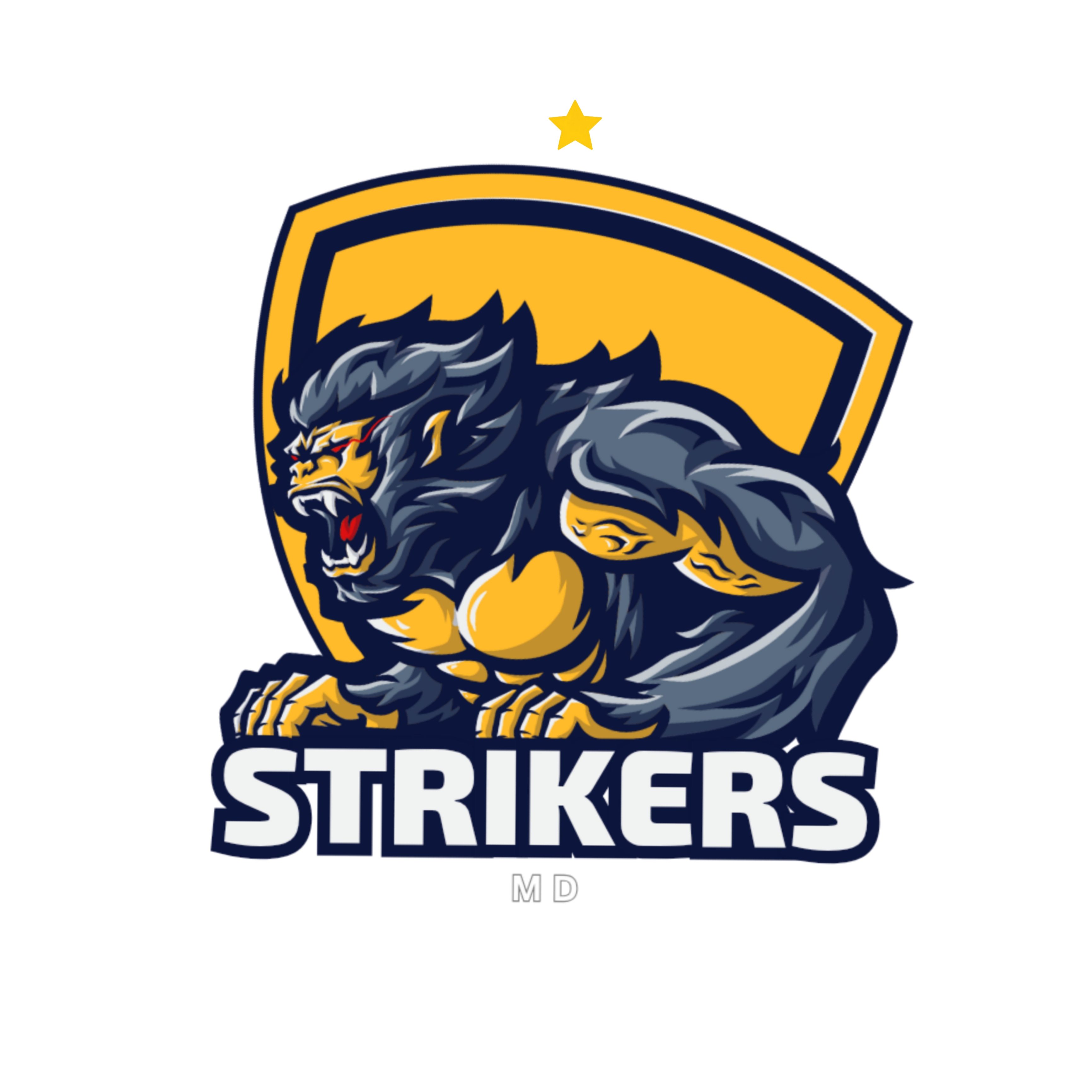 MD Strikers